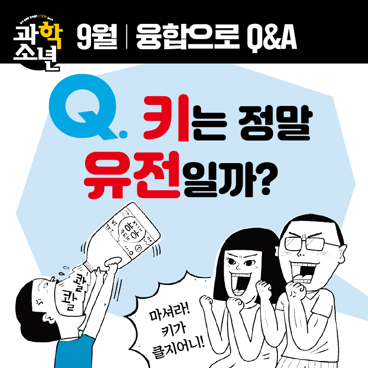 매거진이미지