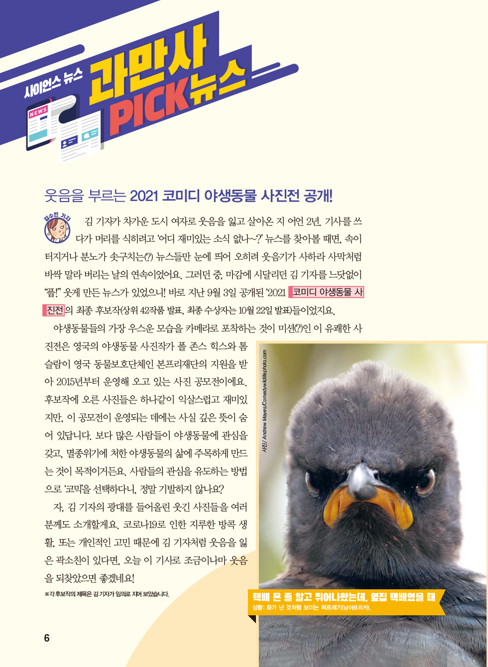 매거진 상세이미지