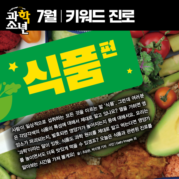 매거진이미지